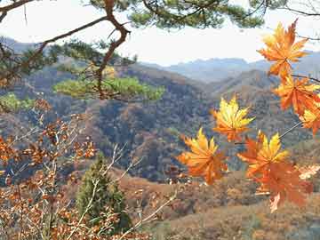 历史野说